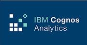 Data management UK, Europe and India. IBM Cognos Analytics.