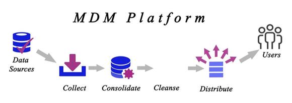 UK Data Management Specialists. MDM Platform diagram.